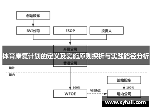 体育康复计划的定义及实施原则探析与实践路径分析