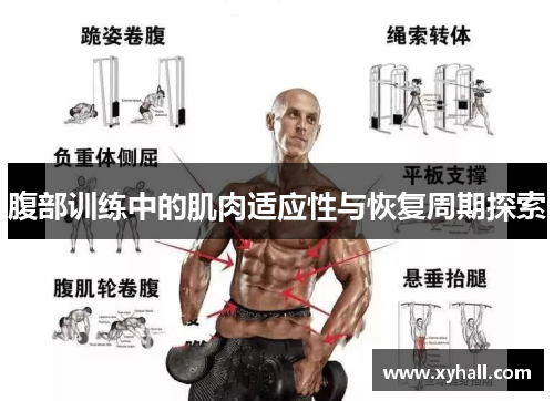 腹部训练中的肌肉适应性与恢复周期探索